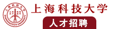 大鸡巴插小屄视频