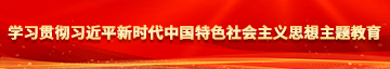 久久爱乱伦视频学习贯彻习近平新时代中国特色社会主义思想主题教育